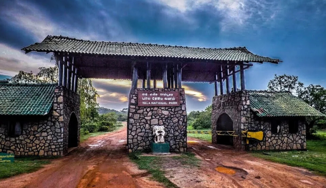 yala national park