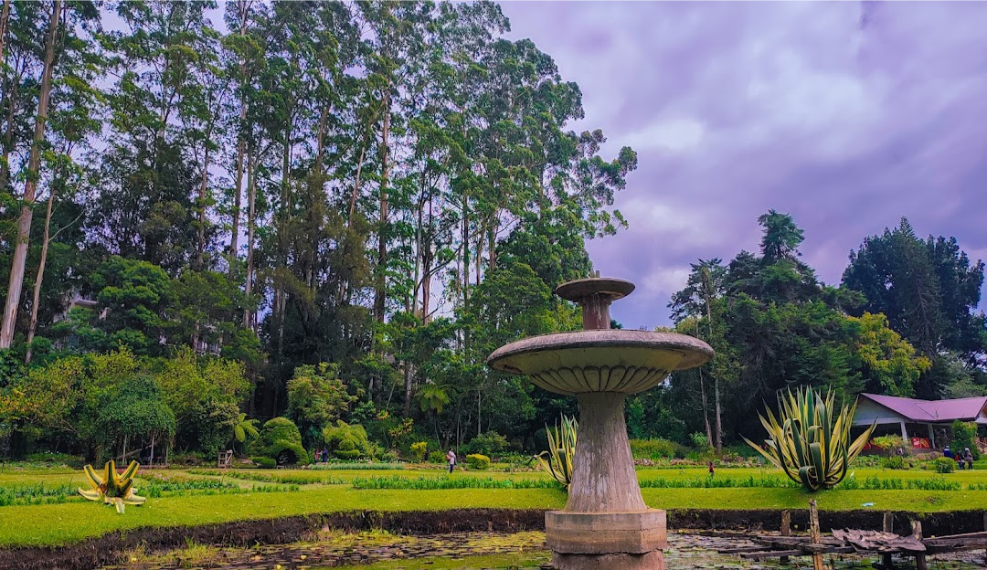 Places to Visit in Nuwara Eliya