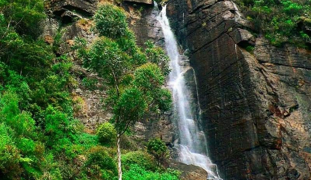 Places to Visit in Nuwara Eliya