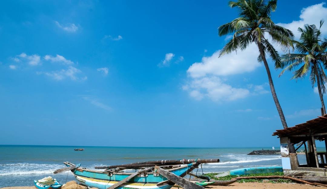 things to do in Negombo