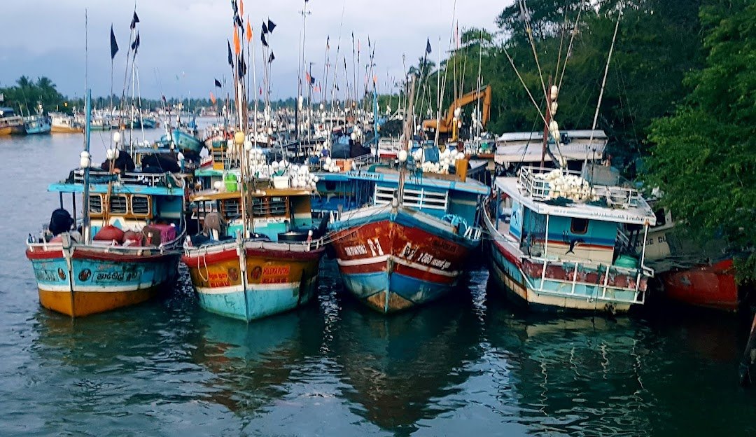 things to do in Negombo