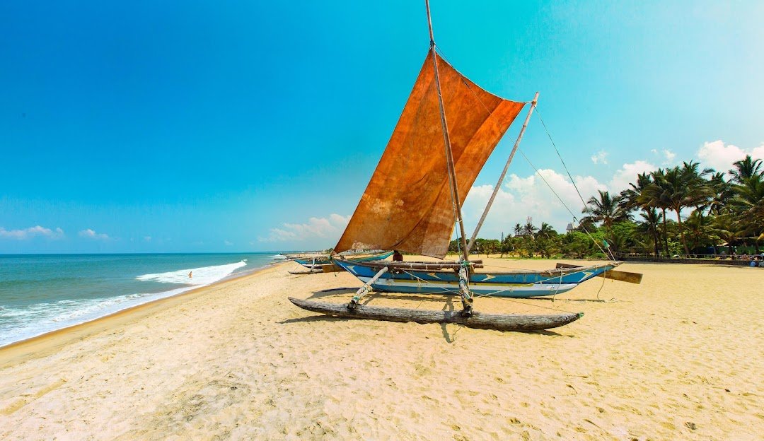 things to do in Negombo